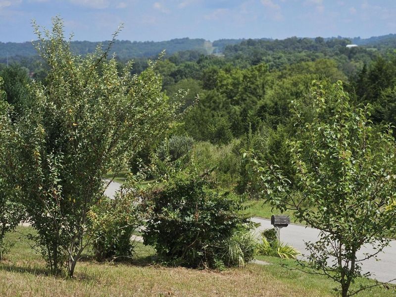 6 Links View Drive, Butler, KY 41006 Photo 1