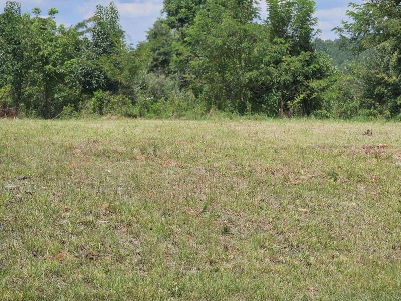 6 Links View Drive, Butler, KY 41006 Photo 2