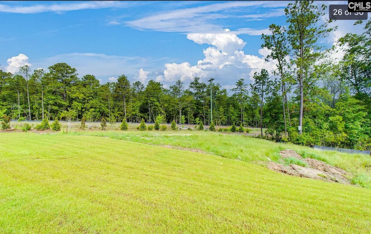 217 Flatsedge Court Photo 21