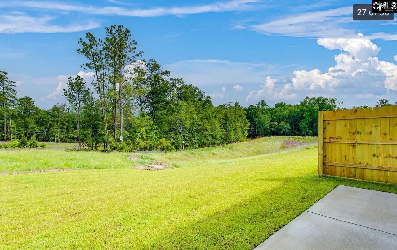 217 Flatsedge Court Photo 22