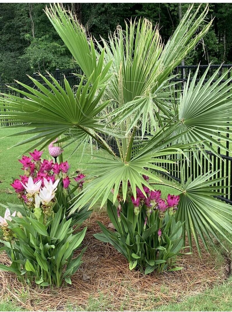 5065 Song Sparrow Way Photo 33