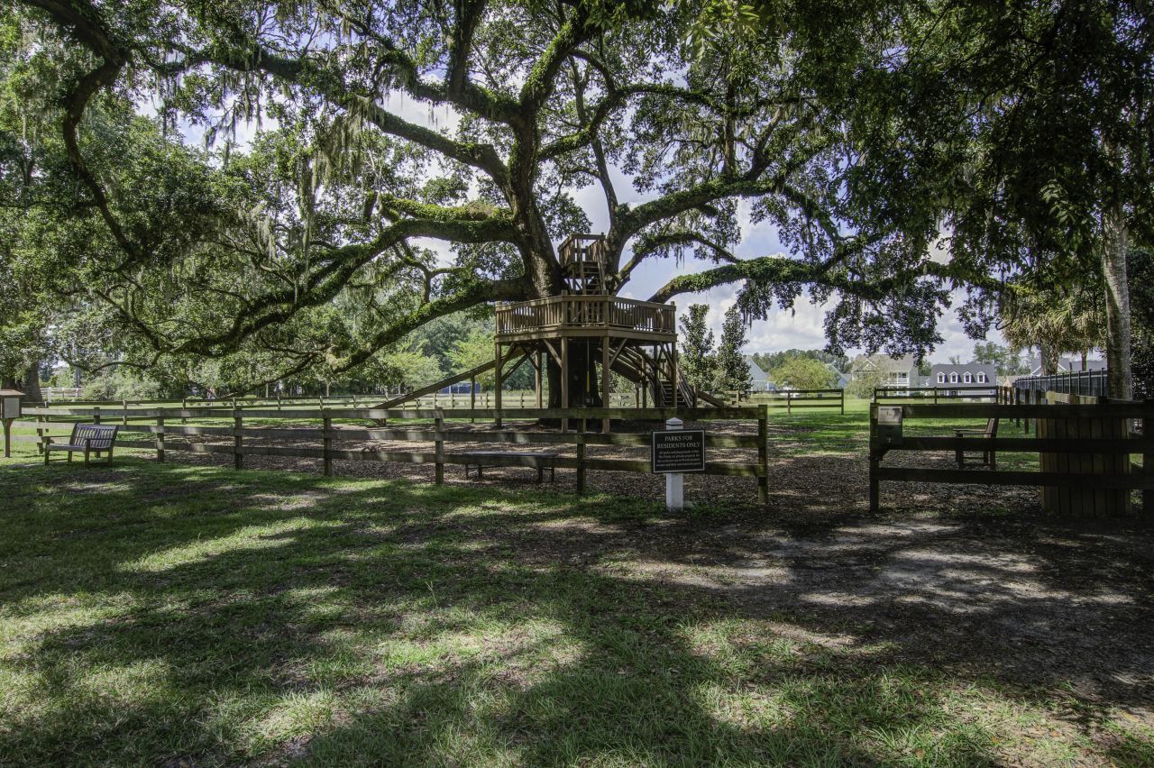 5065 Song Sparrow Way Photo 56