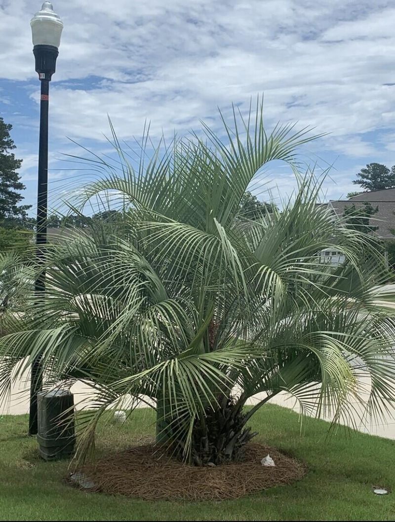 5065 Song Sparrow Way Photo 6