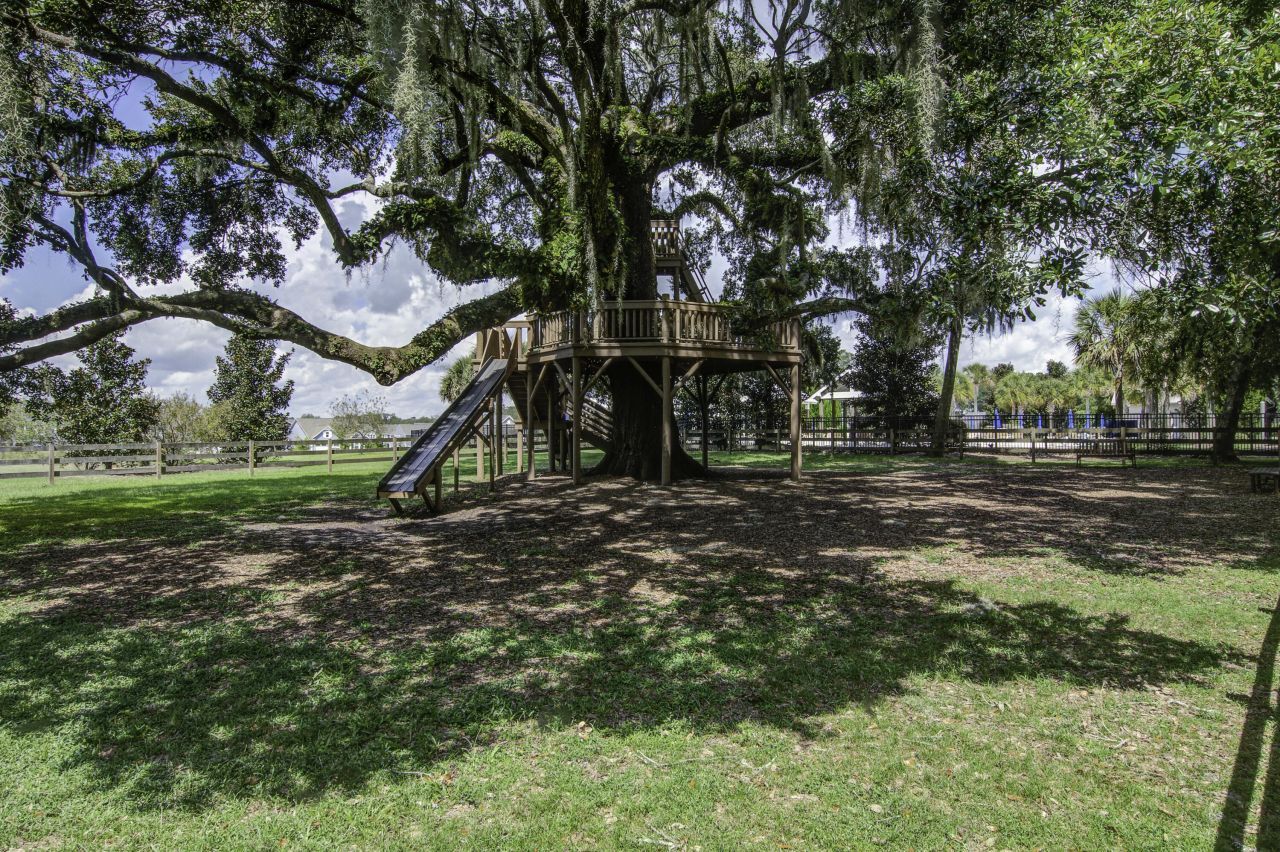 5065 Song Sparrow Way Photo 62