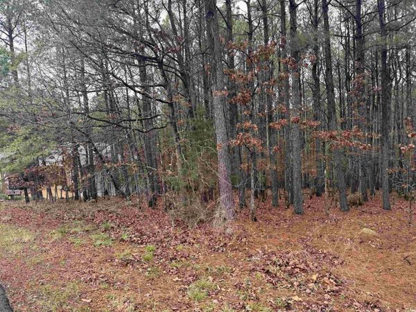45 Largo Drive, Hot Springs Village, AR 71909
