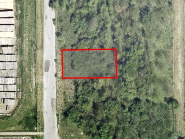 15339 S Wallace Avenue , South Holland, IL 60473