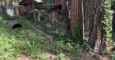 Hillbilly Ln, Kyburz, CA 95720 Photo