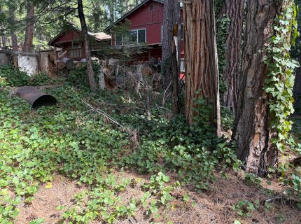 Hillbilly Ln, Kyburz, CA 95720 Photo