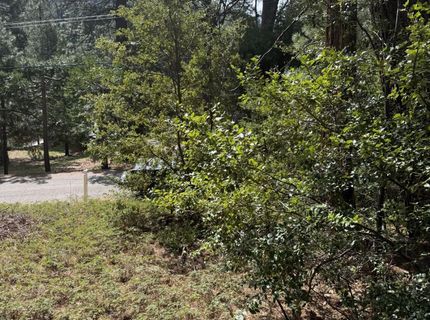 Hillbilly Ln, Kyburz, CA 95720 Photo