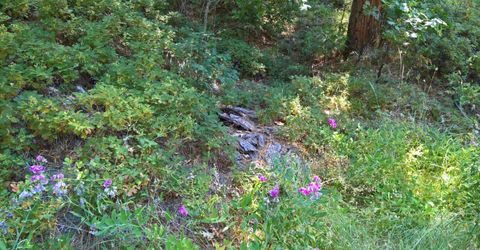 Hillbilly Ln, Kyburz, CA 95720 Photo