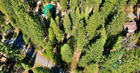 Hillbilly Ln, Kyburz, CA 95720 Photo