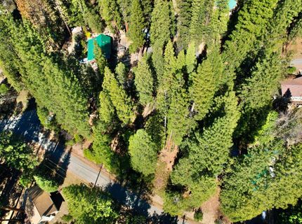 Hillbilly Ln, Kyburz, CA 95720 Photo