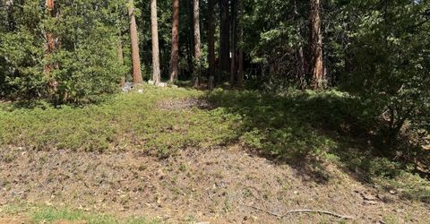 Hillbilly Ln, Kyburz, CA 95720 Photo