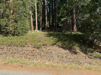 Hillbilly Ln, Kyburz, CA 95720 Photo