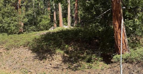 Hillbilly Ln, Kyburz, CA 95720 Photo