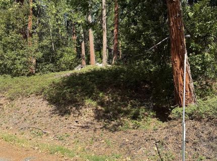 Hillbilly Ln, Kyburz, CA 95720 Photo