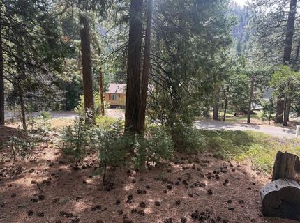 Hillbilly Ln, Kyburz, CA 95720 Photo