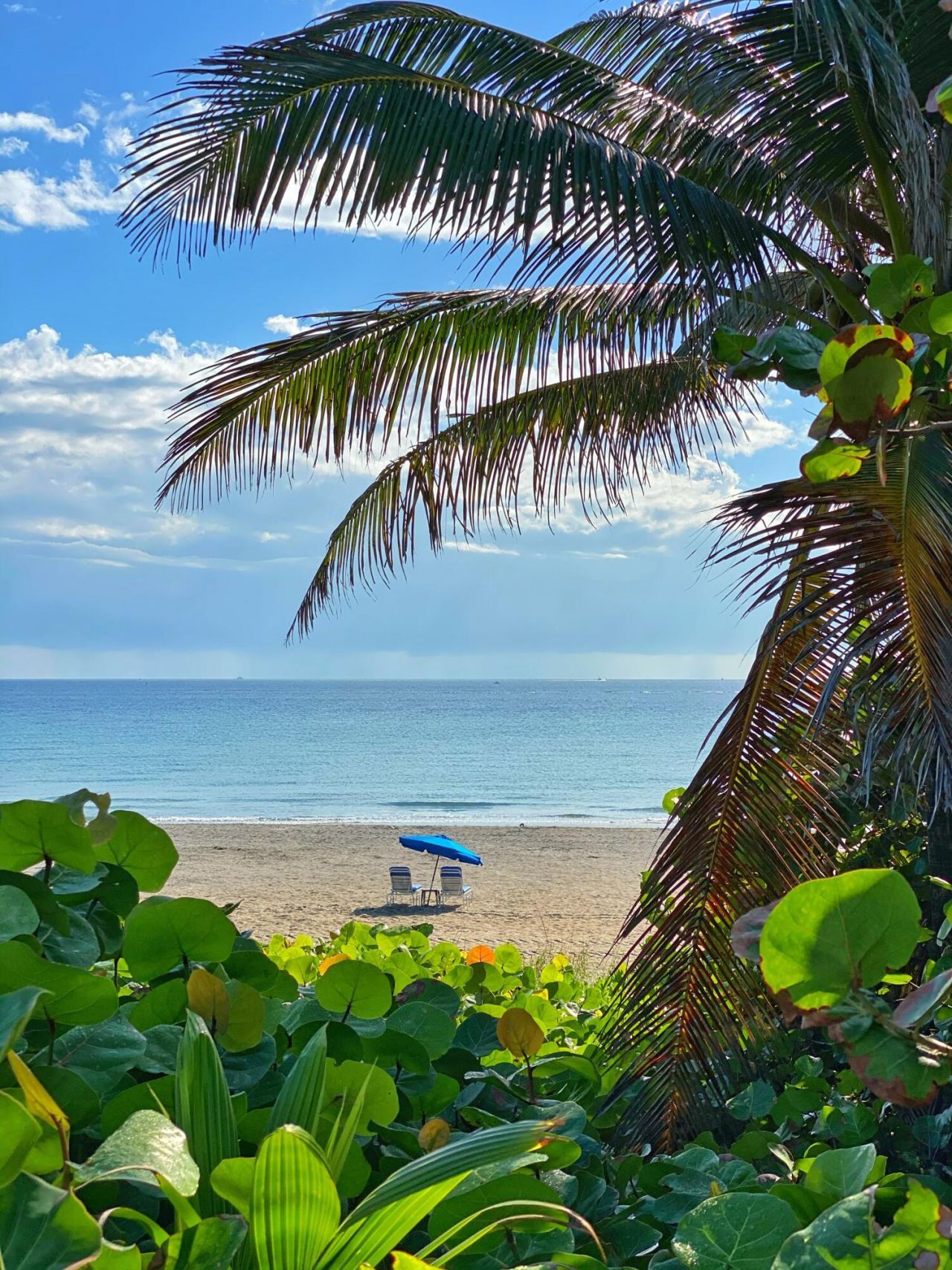 700 E Boynton Beach Boulevard, Unit 1203, Boynton Beach, FL 33435 Photo