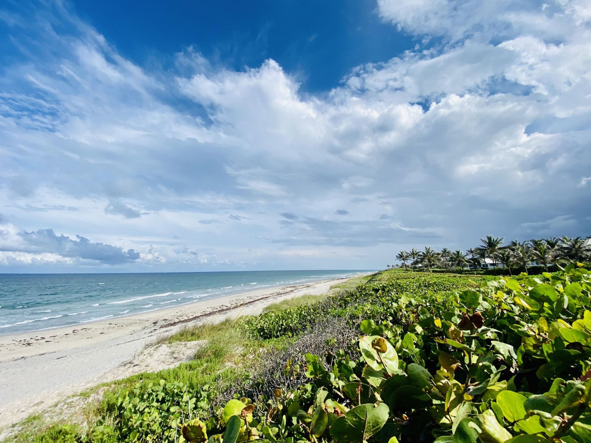 700 E Boynton Beach Boulevard, Unit 1203, Boynton Beach, FL 33435 Photo