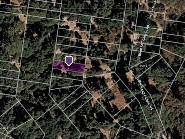 0 Burnt Mill Canyon Road, Cedarpines Park, CA 92322