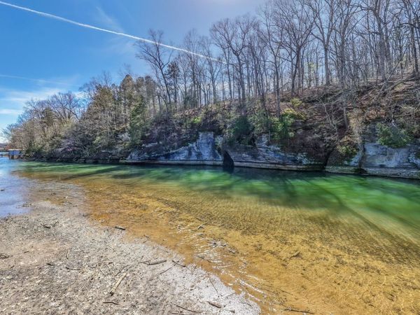 0 Co Rd 113, Rogersville, AL