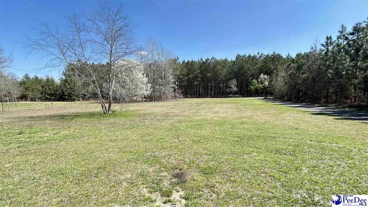 6307 Jordan Rd Photo 35