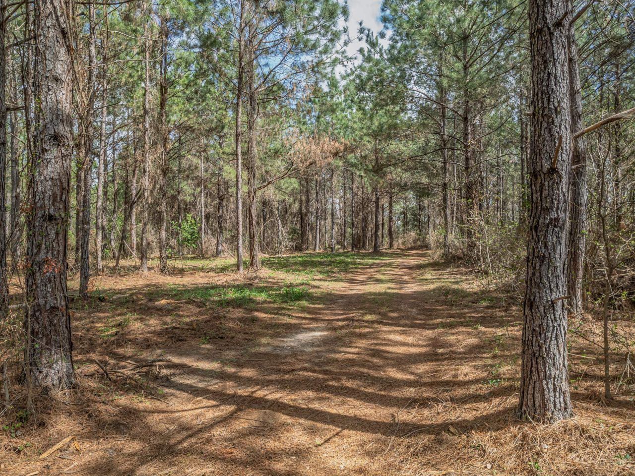 9152 Hidden Creek Lane, Tallahassee, FL 32311 Photo