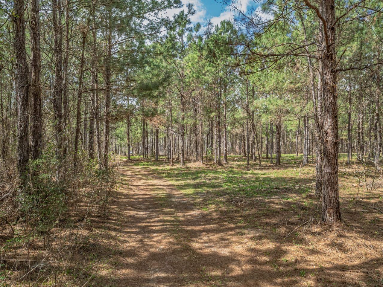 9152 Hidden Creek Lane, Tallahassee, FL 32311 Photo