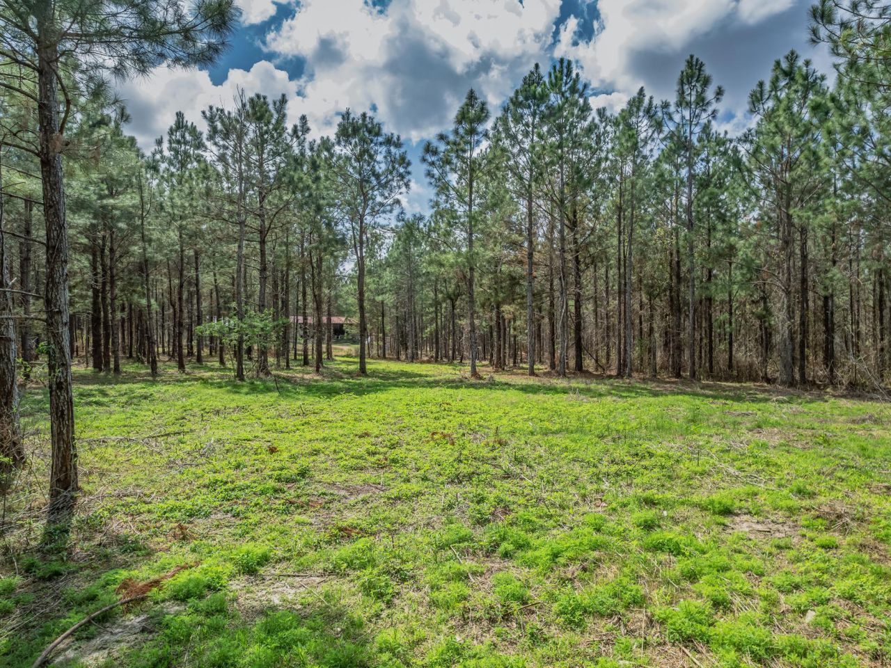 9152 Hidden Creek Lane, Tallahassee, FL 32311 Photo