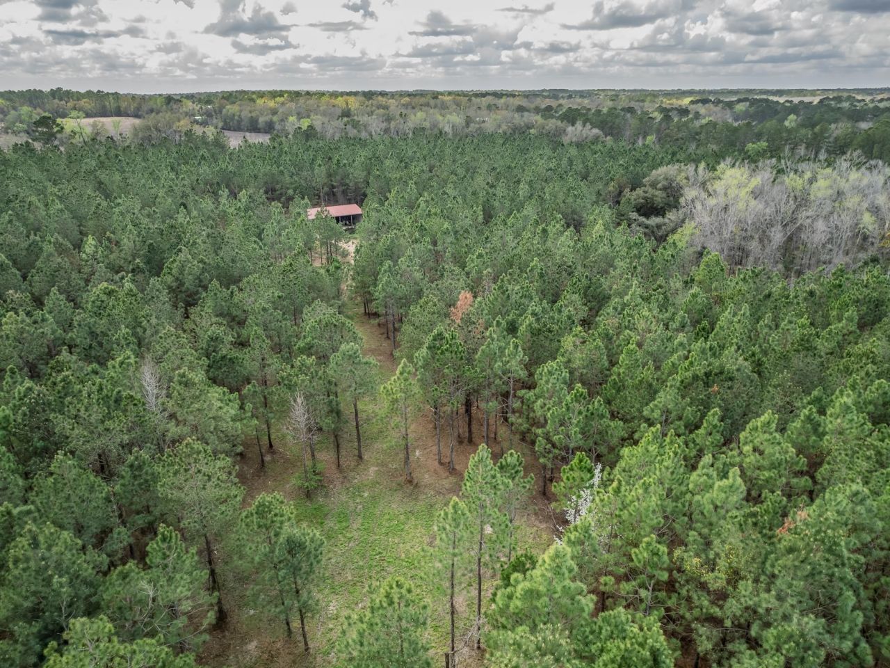 9152 Hidden Creek Lane, Tallahassee, FL 32311 Photo