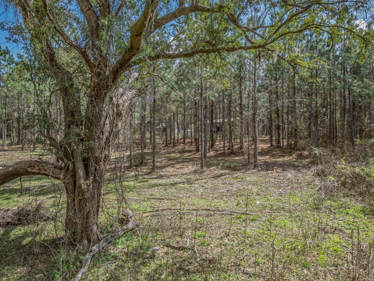 9152 Hidden Creek Lane, Tallahassee, FL 32311 Photo