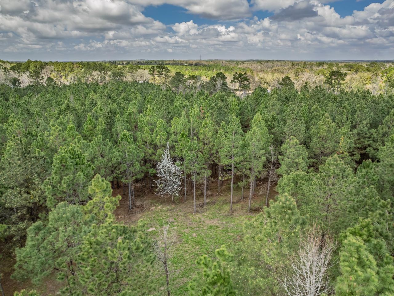 9152 Hidden Creek Lane, Tallahassee, FL 32311 Photo