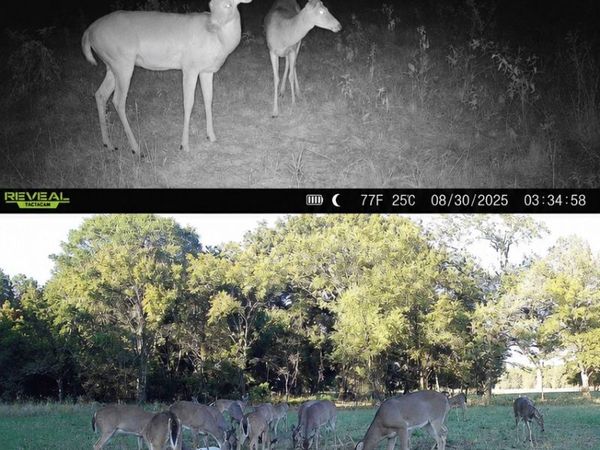38987 Leo Road, Asher, OK 74826