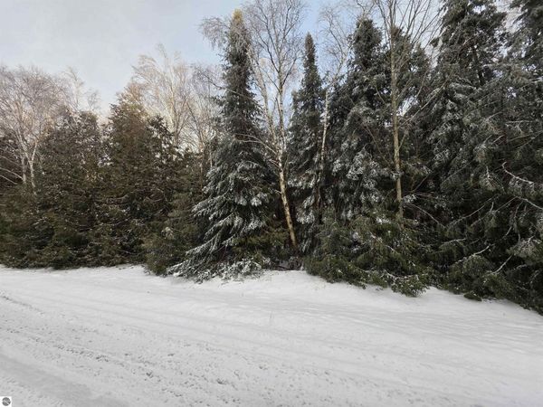 Cedarbrook Drive, Oscoda, MI 48750