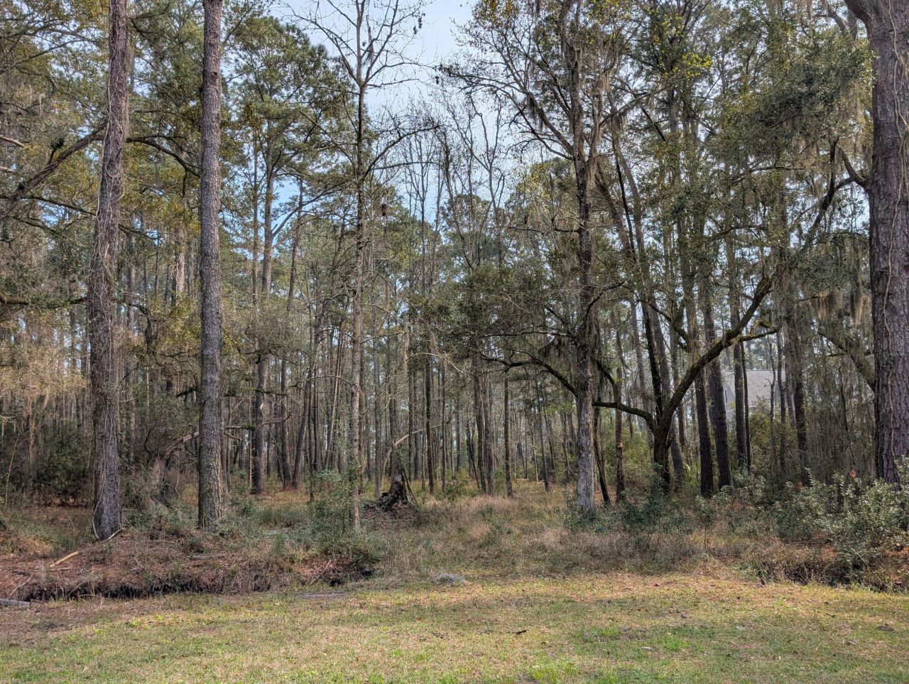 359 Mcclellan Avenue Photo 3