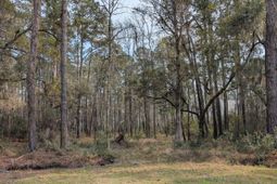 359 Mcclellan Avenue photo 4