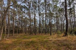 359 Mcclellan Avenue photo 4