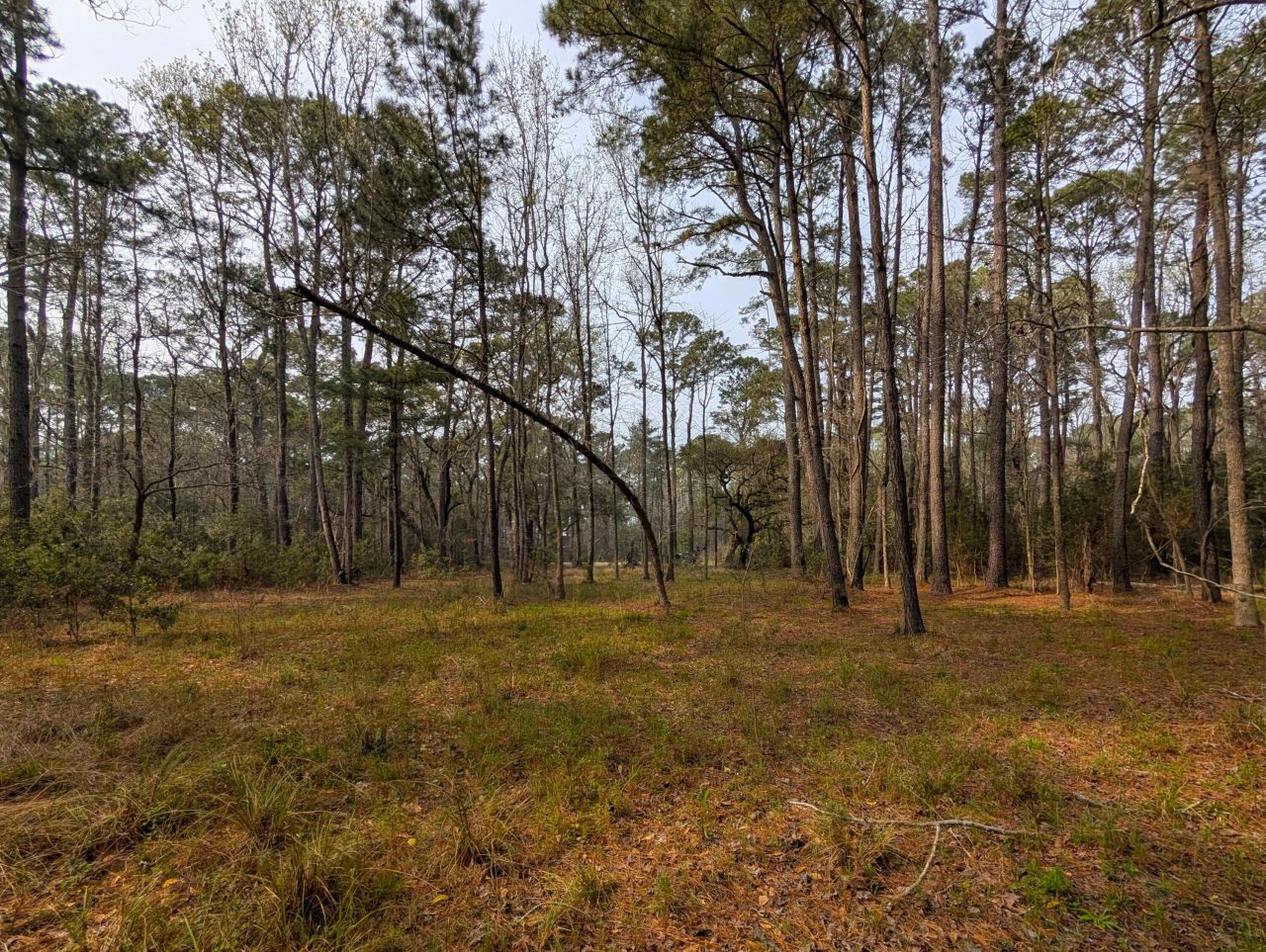 359 Mcclellan Avenue Photo 5