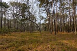 359 Mcclellan Avenue photo 4