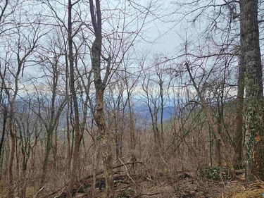 TBD Lot 17 & 18 SPRING BRANCH LN, Unit 17 & 1, FREE UNION, VA 22940