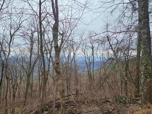 TBD Lot 17 & 18 SPRING BRANCH LN, Unit 17 & 1, FREE UNION, VA 22940