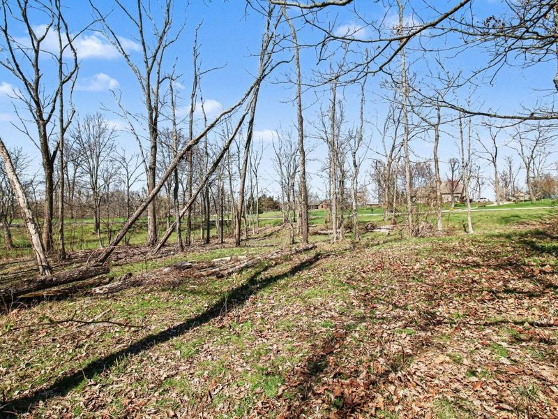 645 Aylor Lane, Walton, KY 41094 Photo 10