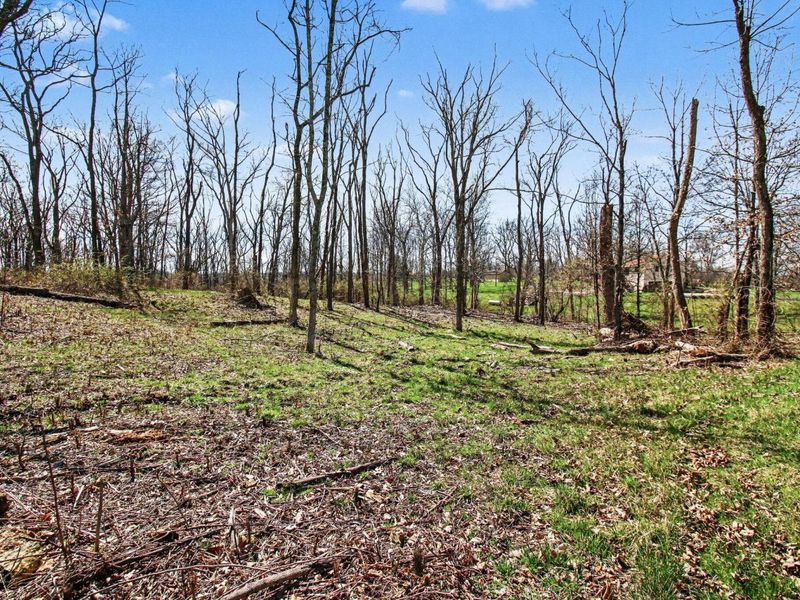 645 Aylor Lane, Walton, KY 41094 Photo 11