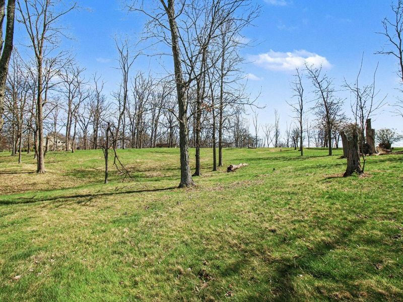 645 Aylor Lane, Walton, KY 41094 Photo 6