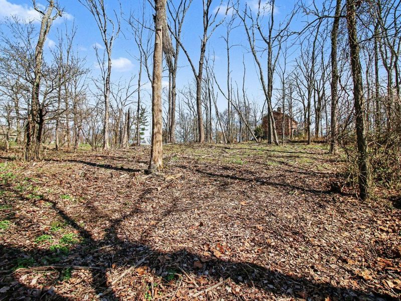 645 Aylor Lane, Walton, KY 41094 Photo 9