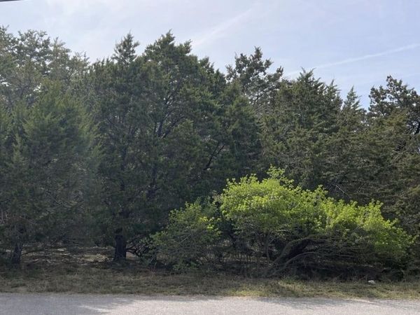 20305 Rockpark LN, Lago Vista, TX 78645