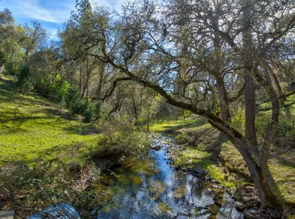 12442 Trembath Mtn Rd, Fiddletown, CA 95629 Photo