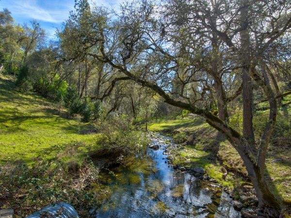 12442 Trembath Mtn Rd, Fiddletown, CA 95629