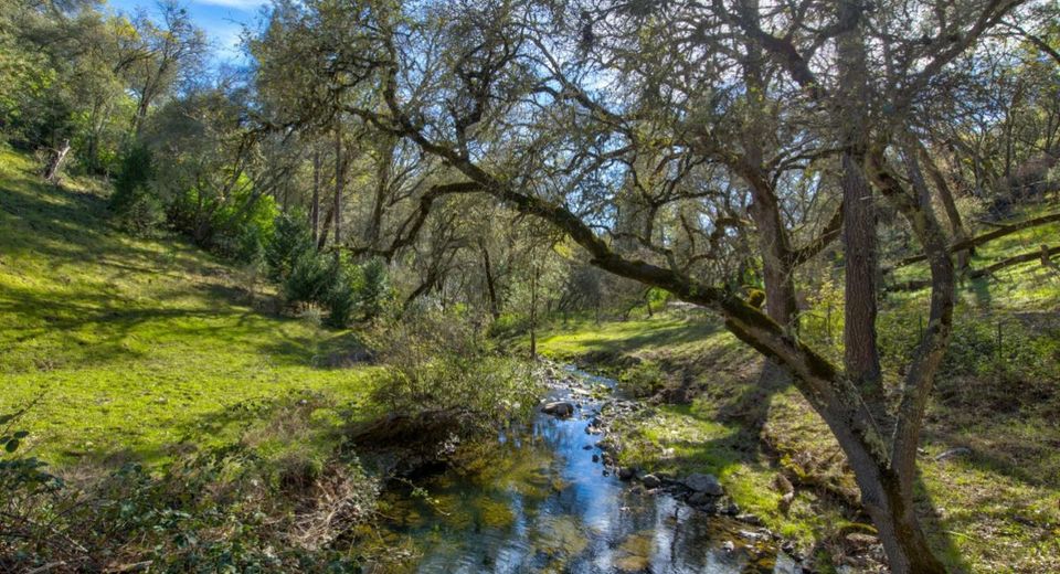 12442 Trembath Mtn Rd, Fiddletown, CA 95629 Photo