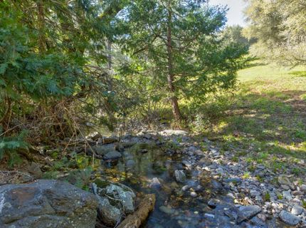 12442 Trembath Mtn Rd, Fiddletown, CA 95629 Photo